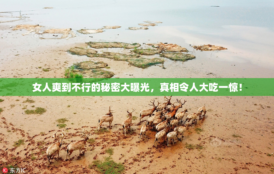 女人爽到不行的秘密大曝光，真相令人大吃一惊！