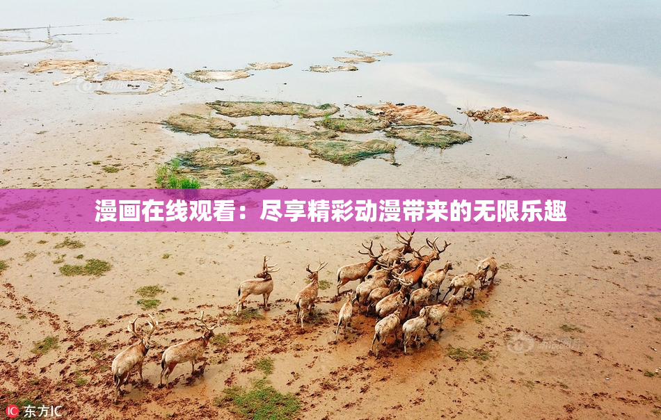 漫画在线观看：尽享精彩动漫带来的无限乐趣