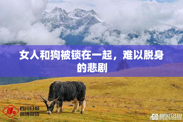 女人和狗被锁在一起，难以脱身的悲剧
