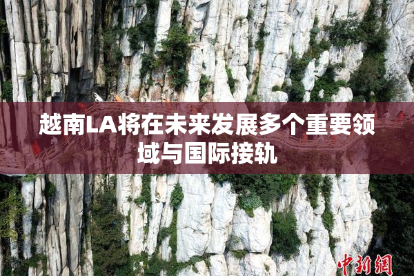 越南LA将在未来发展多个重要领域与国际接轨