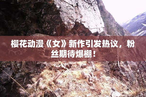 樱花动漫《女》新作引发热议，粉丝期待爆棚！