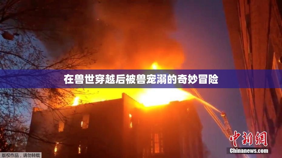 在兽世穿越后被兽宠溺的奇妙冒险