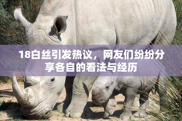 18白丝引发热议，网友们纷纷分享各自的看法与经历