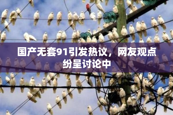 国产无套91引发热议，网友观点纷呈讨论中