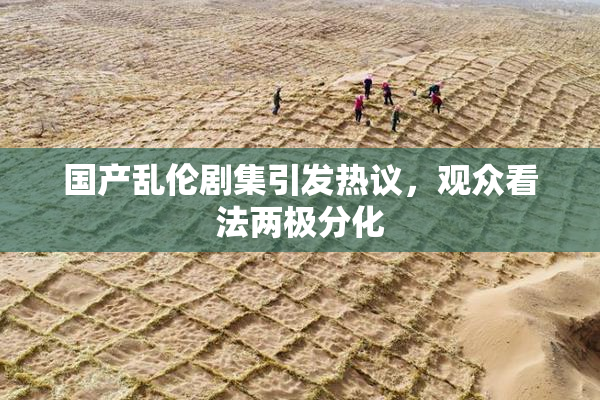 国产乱伦剧集引发热议，观众看法两极分化