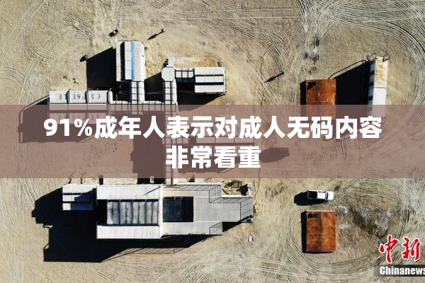 91%成年人表示对成人无码内容非常看重