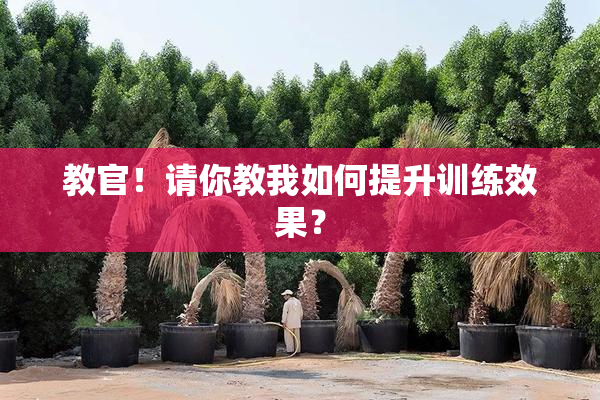教官！请你教我如何提升训练效果？