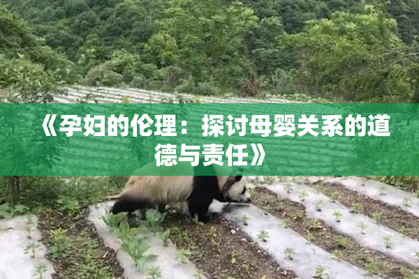 《孕妇的伦理：探讨母婴关系的道德与责任》