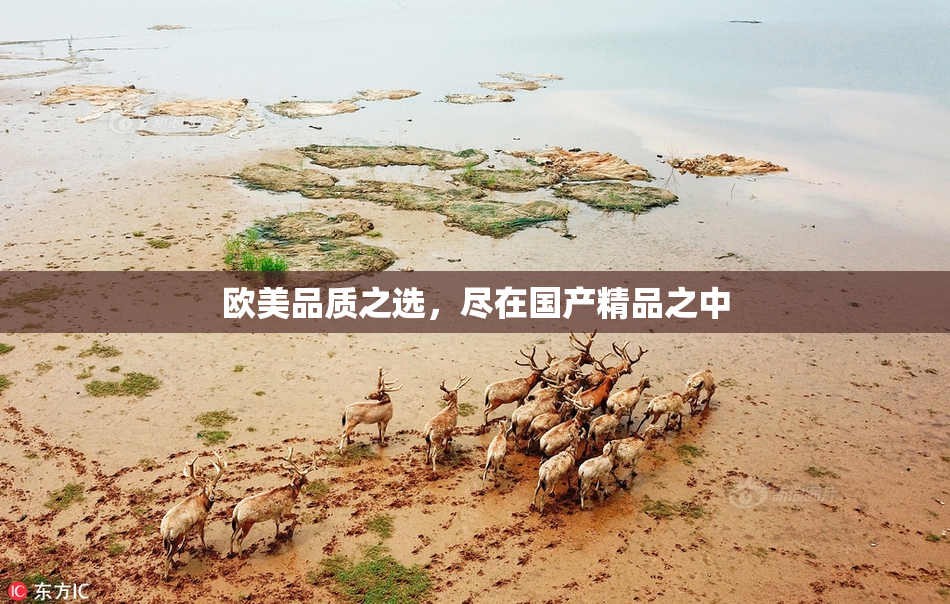 欧美品质之选，尽在国产精品之中