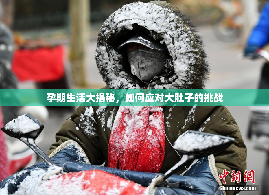孕期生活大揭秘，如何应对大肚子的挑战
