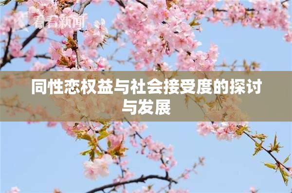 同性恋权益与社会接受度的探讨与发展
