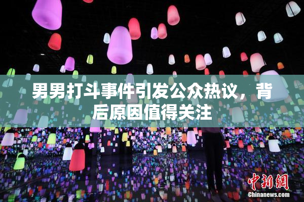 男男打斗事件引发公众热议，背后原因值得关注