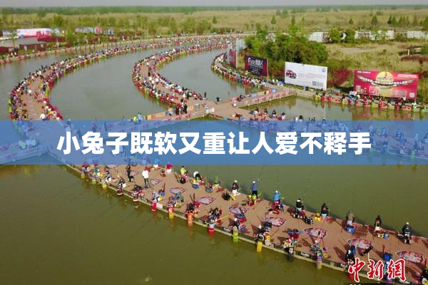 小兔子既软又重让人爱不释手