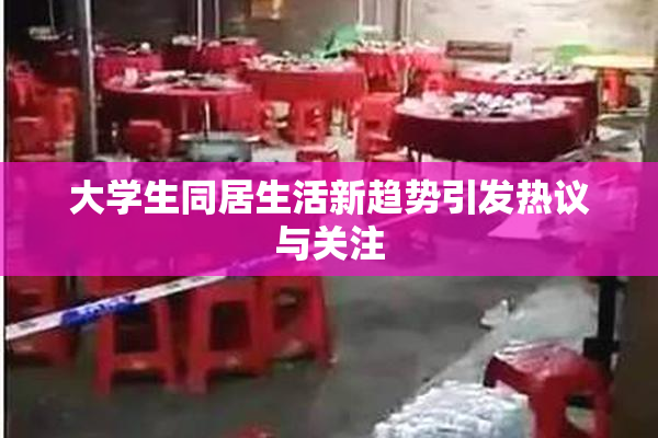 大学生同居生活新趋势引发热议与关注