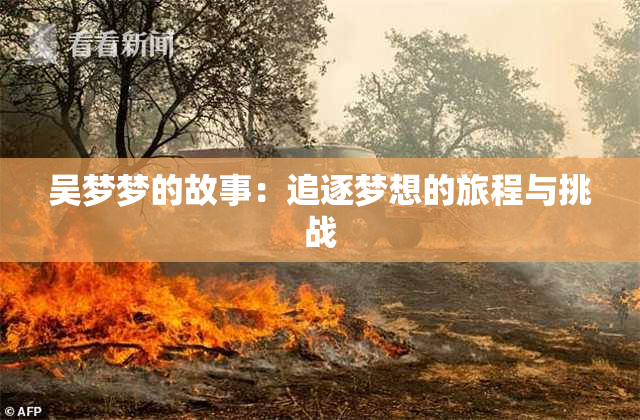 吴梦梦的故事：追逐梦想的旅程与挑战