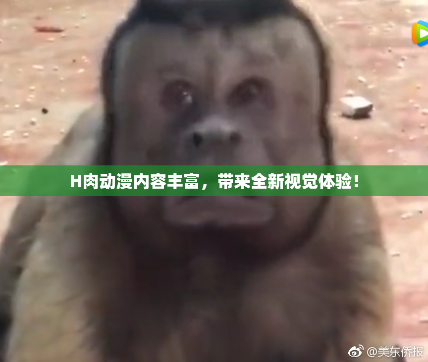 H肉动漫内容丰富，带来全新视觉体验！