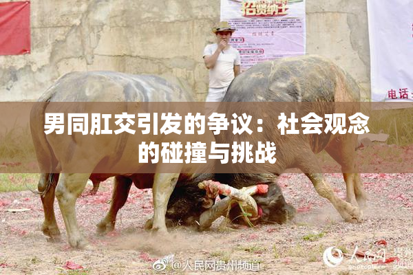 男同肛交引发的争议：社会观念的碰撞与挑战