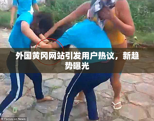 外国黄冈网站引发用户热议，新趋势曝光