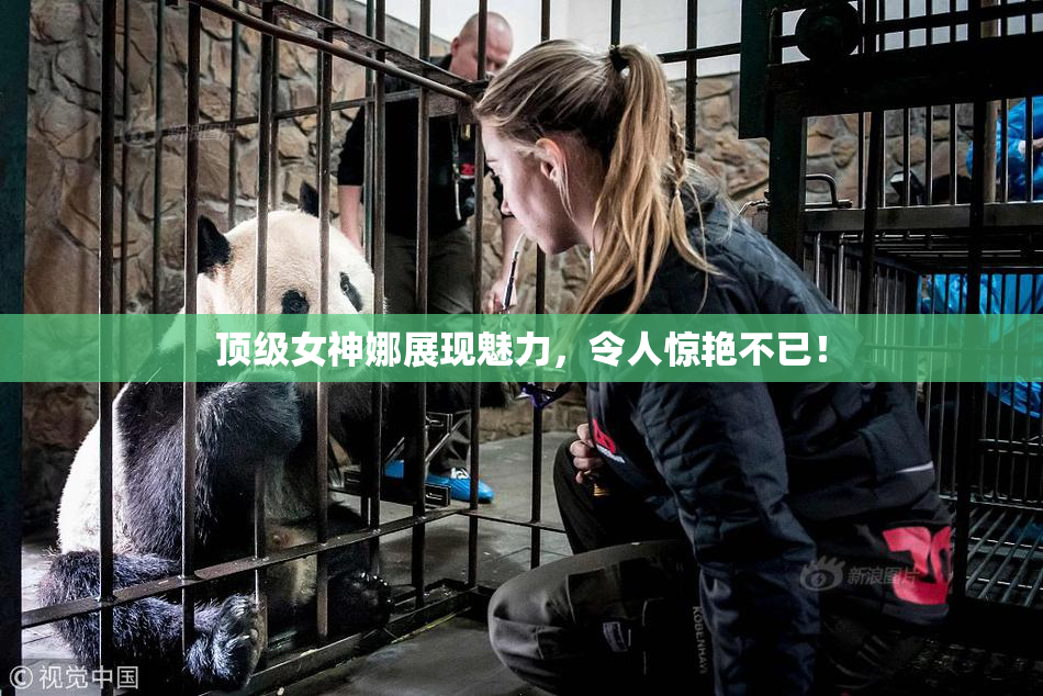 顶级女神娜展现魅力，令人惊艳不已！