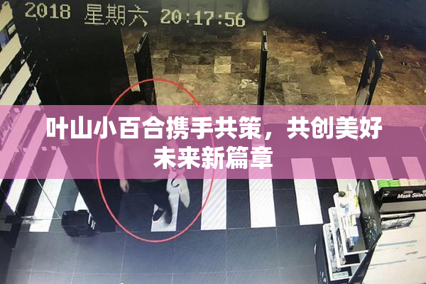 叶山小百合携手共策，共创美好未来新篇章