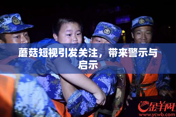 蘑菇短视引发关注，带来警示与启示