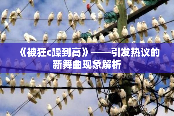 《被狂c躁到高》——引发热议的新舞曲现象解析
