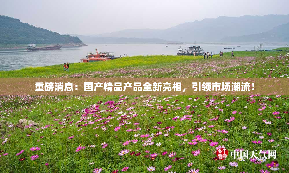 重磅消息：国产精品产品全新亮相，引领市场潮流！