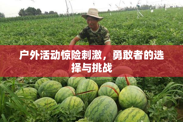 户外活动惊险刺激，勇敢者的选择与挑战