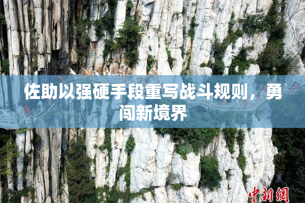 佐助以强硬手段重写战斗规则，勇闯新境界