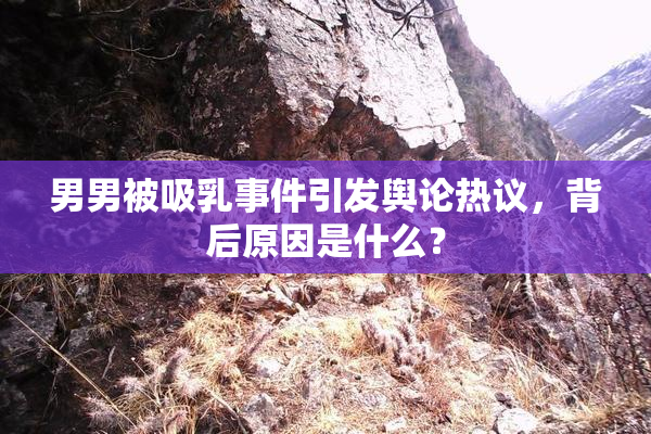 男男被吸乳事件引发舆论热议，背后原因是什么？