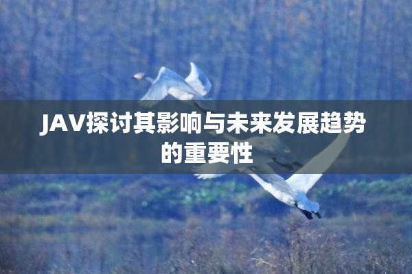 JAV探讨其影响与未来发展趋势的重要性