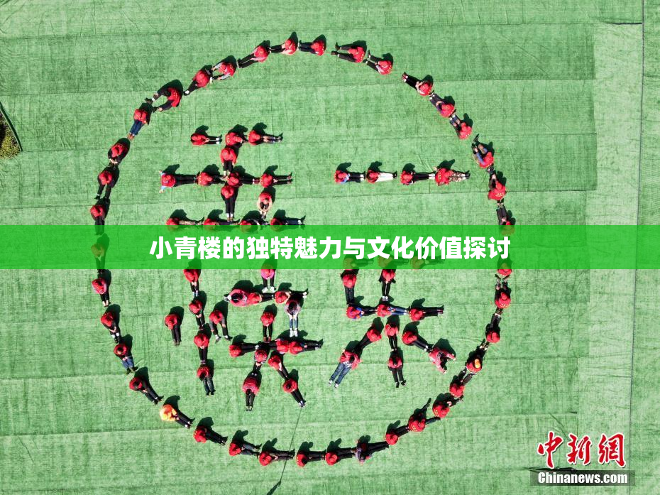 小青楼的独特魅力与文化价值探讨