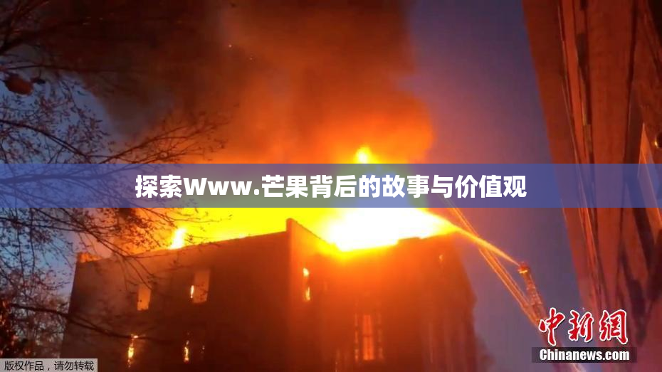 探索Www.芒果背后的故事与价值观