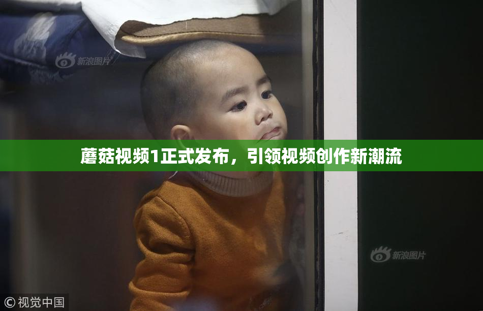 蘑菇视频1正式发布，引领视频创作新潮流