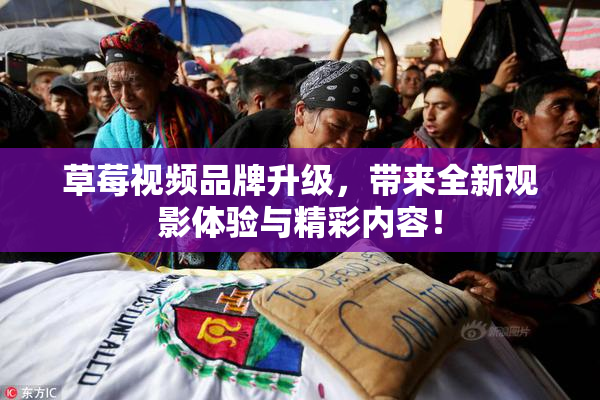 草莓视频品牌升级，带来全新观影体验与精彩内容！