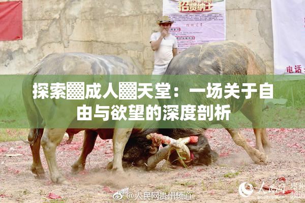 探索▓成人▓天堂：一场关于自由与欲望的深度剖析