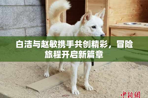 白洁与赵敏携手共创精彩，冒险旅程开启新篇章