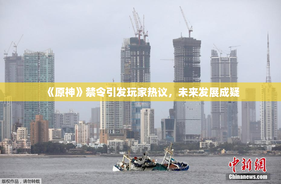 《原神》禁令引发玩家热议，未来发展成疑