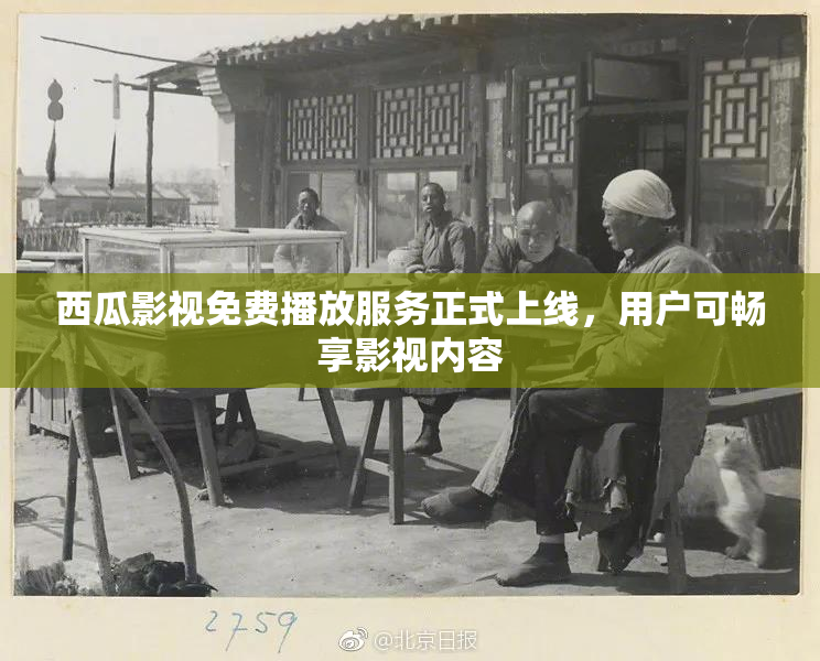 西瓜影视免费播放服务正式上线，用户可畅享影视内容