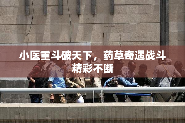 小医重斗破天下，药草奇遇战斗精彩不断