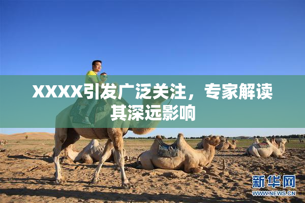XXXX引发广泛关注，专家解读其深远影响