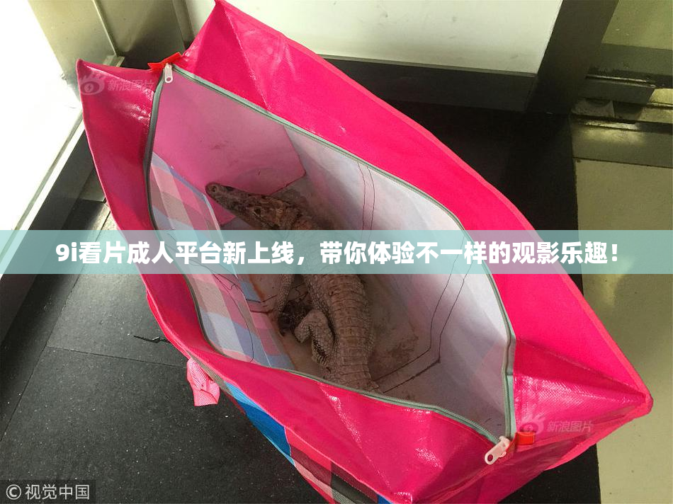 9i看片成人平台新上线，带你体验不一样的观影乐趣！