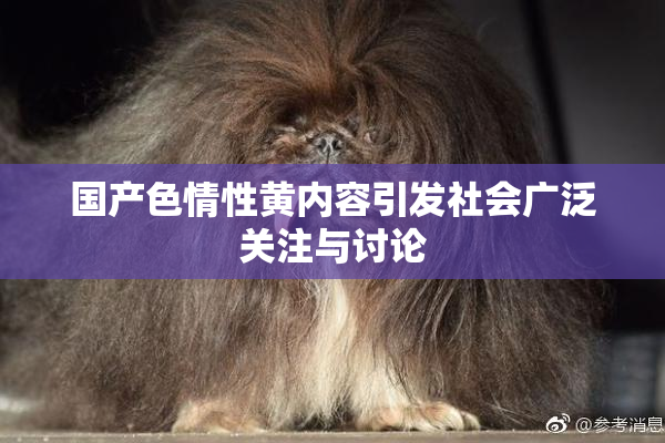 国产色情性黄内容引发社会广泛关注与讨论