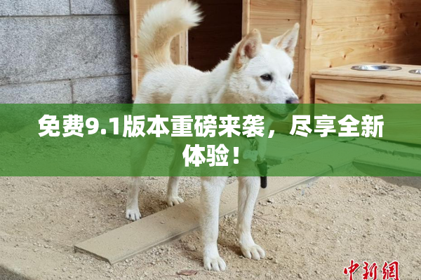 免费9.1版本重磅来袭，尽享全新体验！