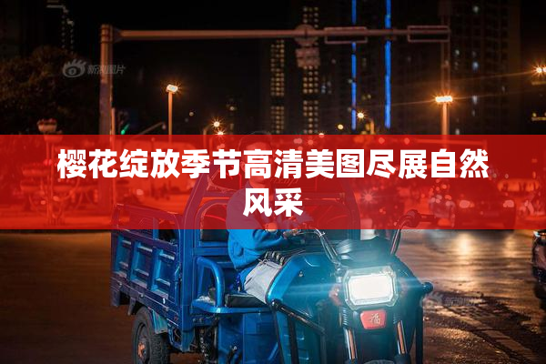 樱花绽放季节高清美图尽展自然风采