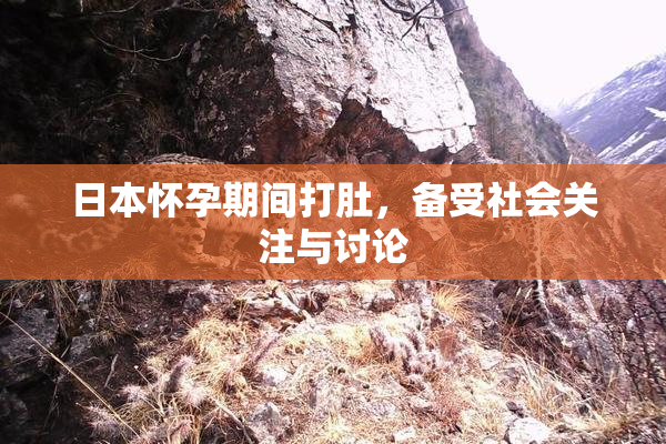 日本怀孕期间打肚，备受社会关注与讨论