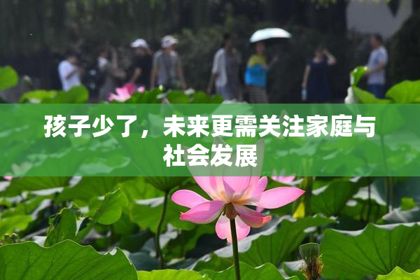孩子少了，未来更需关注家庭与社会发展