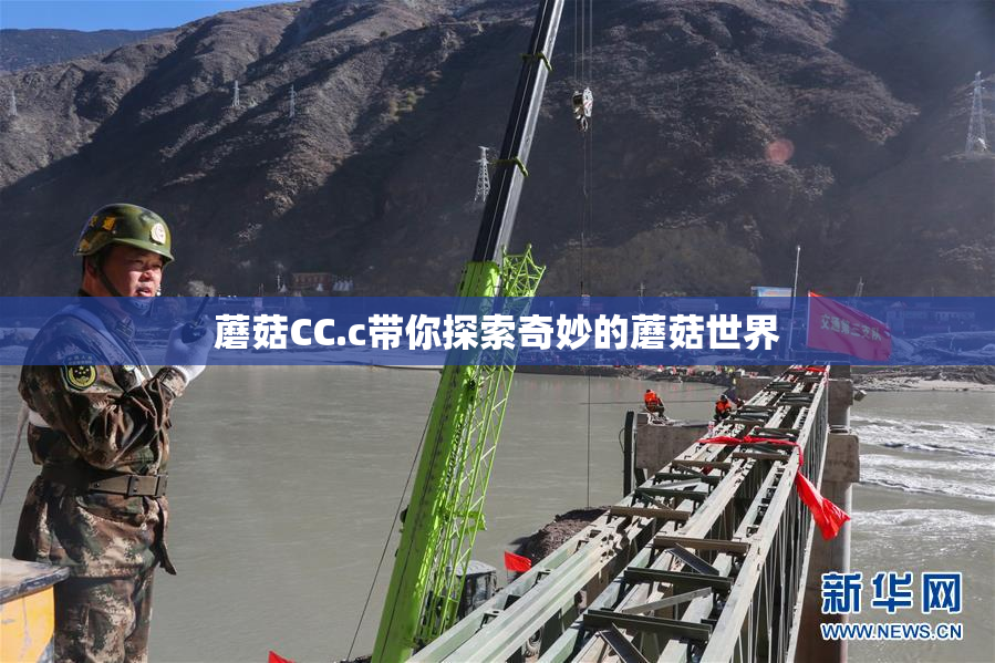 蘑菇CC.c带你探索奇妙的蘑菇世界