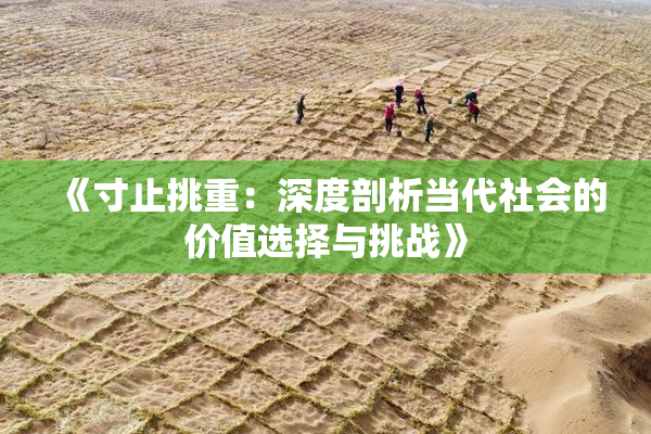 《寸止挑重：深度剖析当代社会的价值选择与挑战》