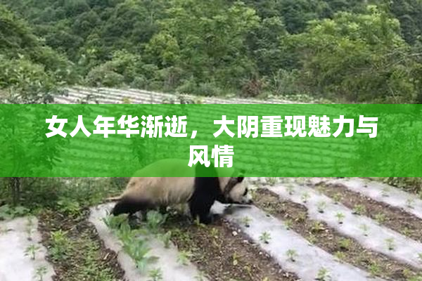 女人年华渐逝，大阴重现魅力与风情